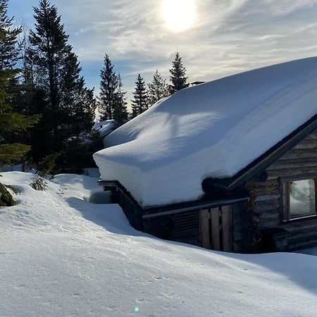 Villa Saarua By The Slopes Ski In, Family & Bike Park, Hike Trails, National Park, Wifi - Lapland Villas Рука Екстериор снимка
