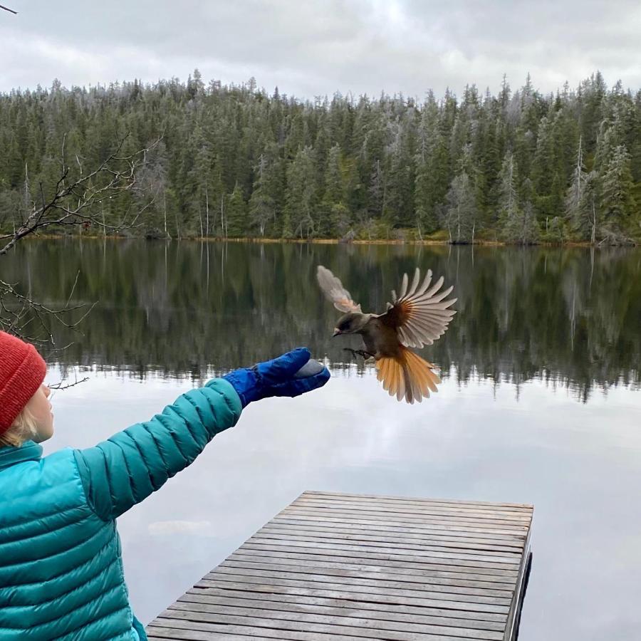 Villa Saarua By The Slopes Ski In, Family & Bike Park, Hike Trails, National Park, Wifi - Lapland Villas Рука Екстериор снимка