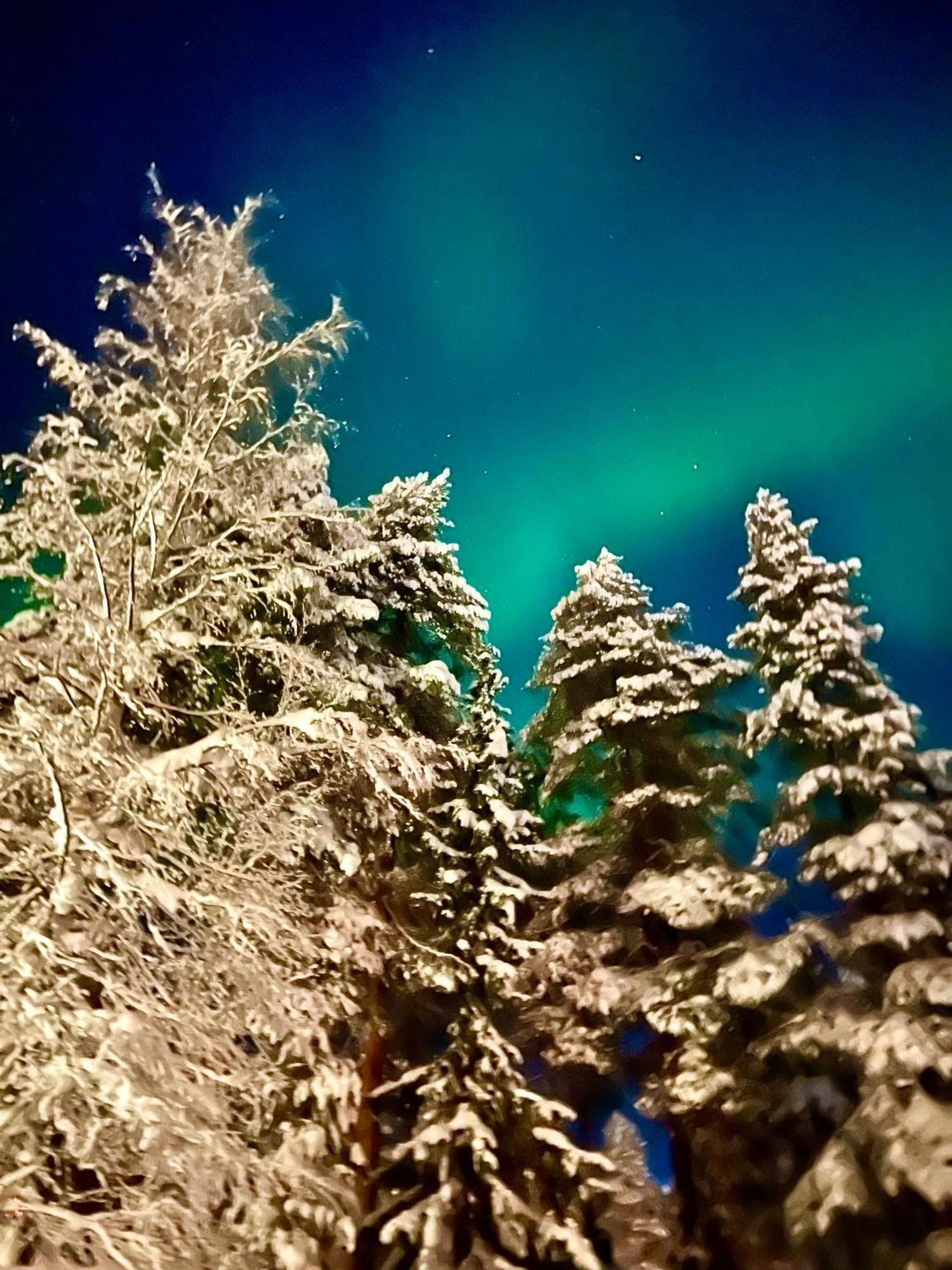 Villa Saarua By The Slopes Ski In, Family & Bike Park, Hike Trails, National Park, Wifi - Lapland Villas Рука Екстериор снимка
